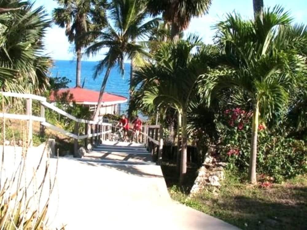 Treasure Beach Hotel Natura foto