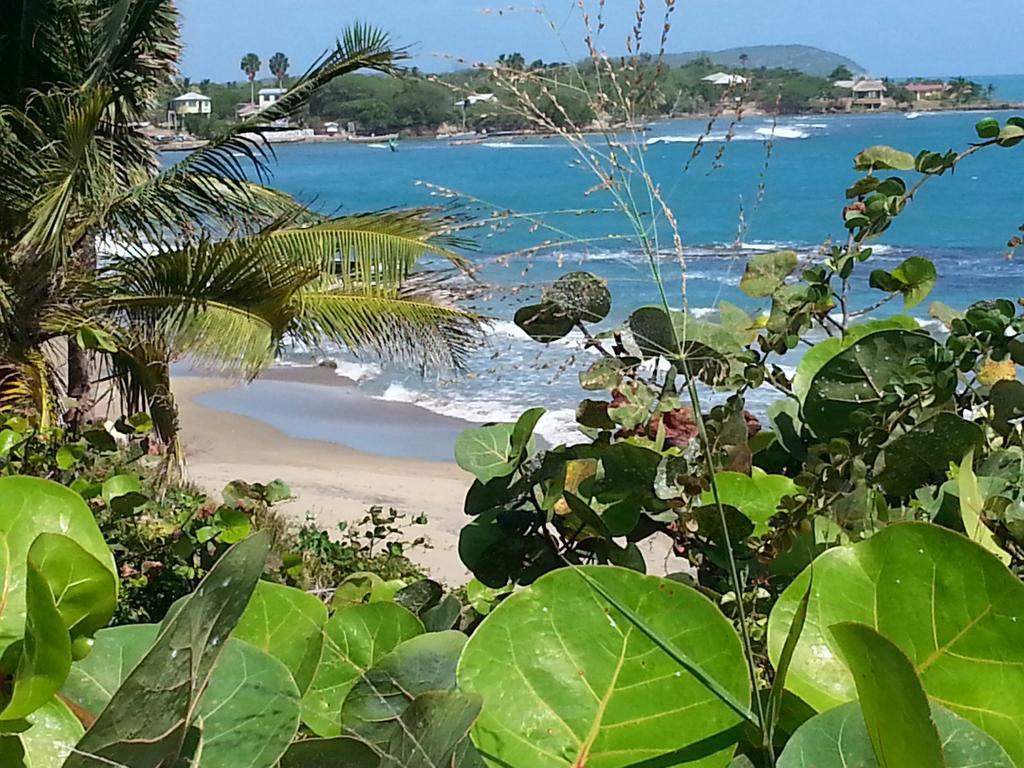 Treasure Beach Hotel Esterno foto